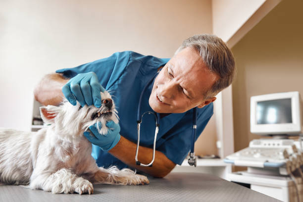 Best Dental Abscess Treatment in Teviston, CA